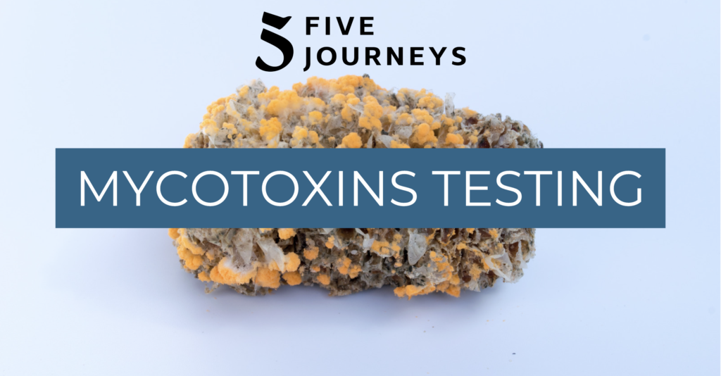 Mycotoxins Mold Testing Services Five Journeys